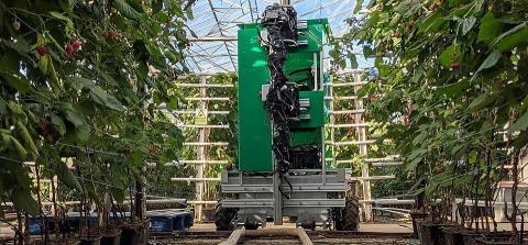 Fieldwork Robotics розробила роботизований комбайн для збору малини Рис.1