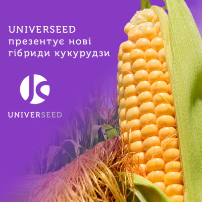 UNIVERSEED презентує нові гібриди кукурудзи Рис.1