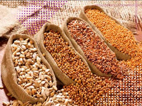 Уряд має відновити пряму підтримку українських виробників насіння – заява Рис.1