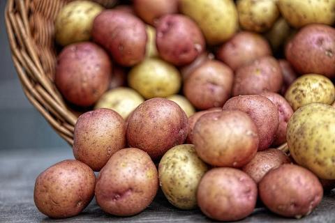В Україні очікується подорожчання картоплі Рис.1