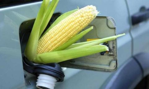 Для виробництва власного біогазу з кукурудзи українським фермерам знадобиться залучити $5-10 млн – Роман Лещенко Рис.1