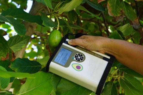 Компанія Felix Instruments представила вимірювач якості авокадо Рис.1