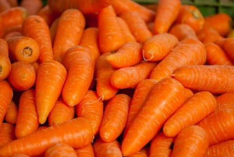 Саморобне обладнання для миття моркви вигадали фермери з Херсонщини Рис.1