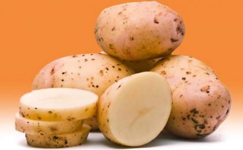 Селекціонери вивели супер ранній сорт картоплі Рис.1