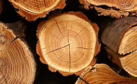 Тепер усі лісокористувачі повинні користуватися системою електронного обліку деревини,- Міндовкілля Рис.1