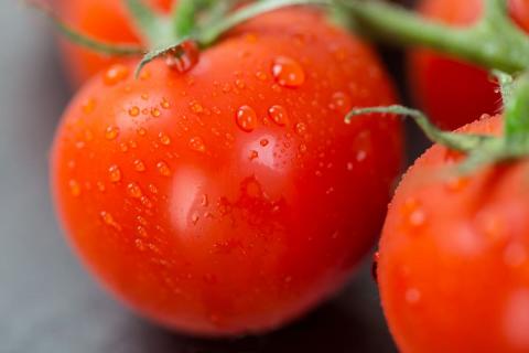 У найрозумнішій теплиці помідори дають 50 кг з квадратного метра Рис.1