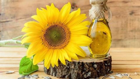 Україна зменшила експорт соняшникової олії на 15% Рис.1