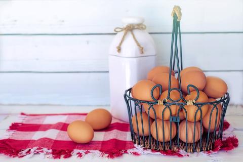 В Україні скоротилося виробництво яєць на 13,5% Рис.1
