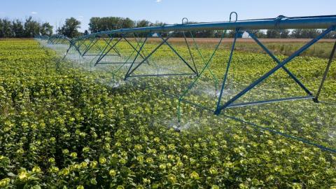 Variant Irrigation здійснює 60% експортних продажів через дилерську мережу Рис.1