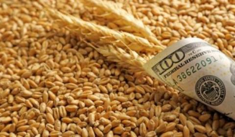 Ціни на пшеницю продовжують спекулятивне зростання, наближаючись до грудневих максимумів Рис.1