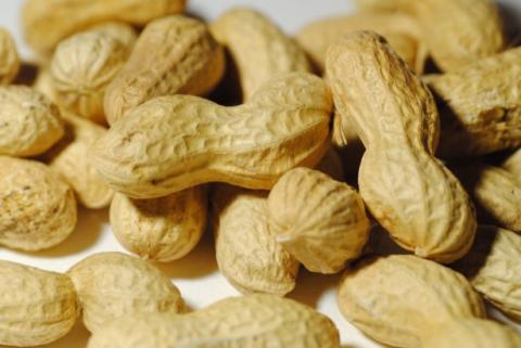 Дослідники арахісу створили стійкі до хвороб гібриди Рис.1