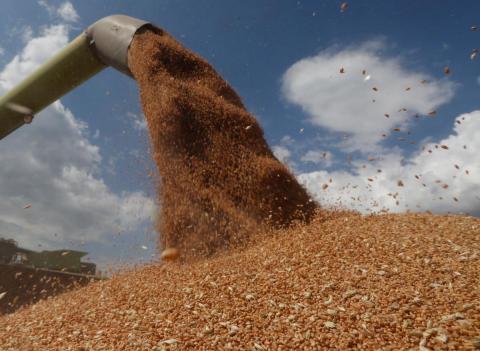 Китай накопичив більше половини всіх світових запасів зерна Рис.1