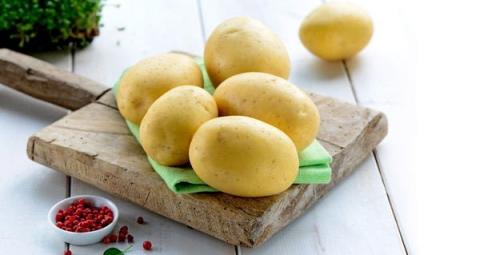 У Німеччині представили картоплю з низьким вмістом вуглеводів Рис.1