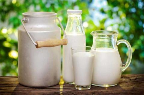 Україна має вийти на виробництво 8 млн т молока у рік — Лещенко Рис.1