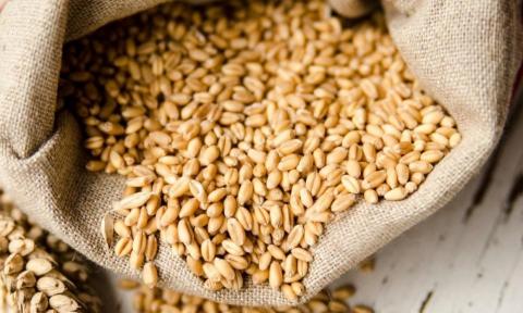 В Україні припинена дія стандартів для зерна та зернопродуктів Рис.1