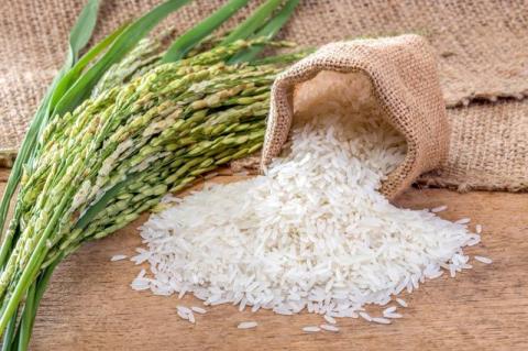 Виробництво рису в Україні потребує інноваційних підходів Рис.1