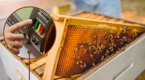 Законопроєкт про бджільництво відправили на доопрацювання Рис.1