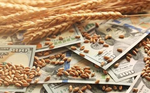 Закупівельні ціни на пшеницю в Україні знову зростають Рис.1