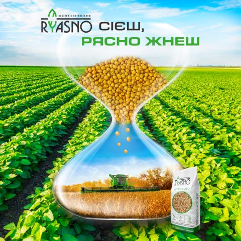 Agrain створила новий бренд насіння RYASNO Рис.1