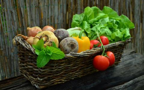 Аграрії об'єднані, загрози дефіциту харчової продукції в Україні немає – Мінагрополітики Рис.1
