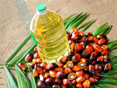 Подорожчання пальмової олії ще на 2% підтримує ціни на соняшникову олію Рис.1