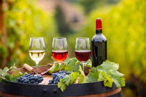 В Україні виготовлятимуть вина із унікальних автохтонних сортів винограду Рис.1