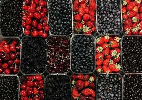 Вчені зможуть розробити сорти фруктів і ягід "на смак" споживача за допомогою штучного інтелекту Рис.1