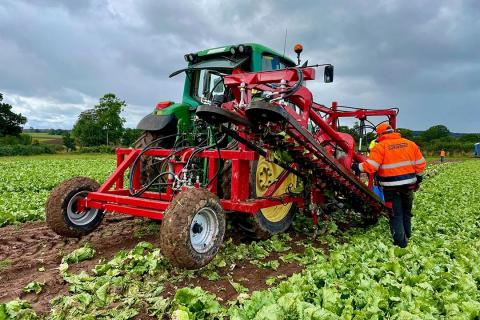 Британські спеціалісти представили роботизовані рішення для автоматизації збору врожаю салату Рис.1