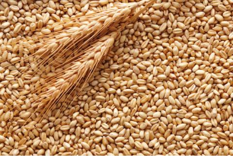 Ціни на зерно б’ють багаторічні рекорди Рис.1