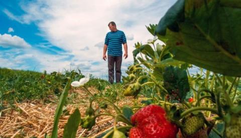 На Вінниччині не вистачає робітників аграрного сектору Рис.1