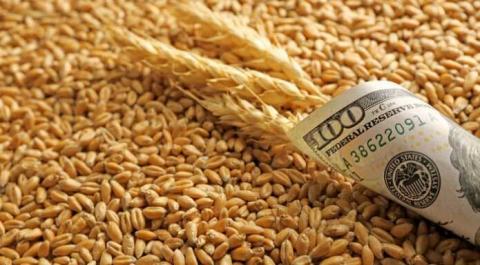 Продажі пшениці в США впали до 20-річного мінімуму Рис.1