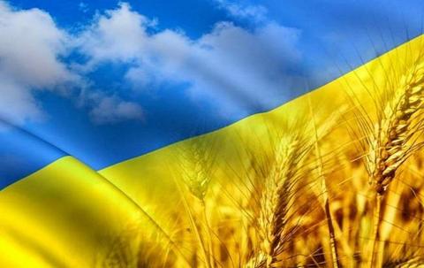 Як війна в Україні впливає на посівну кампанію та як аграрії змінюють підходи до неї? Рис.1