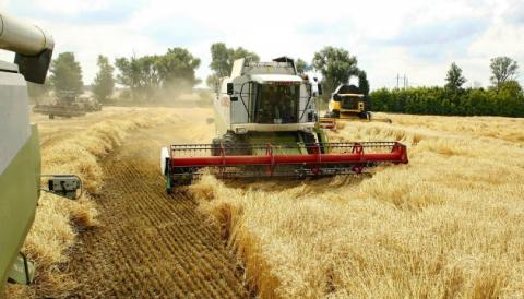 Зерна в Україні вистачить для забезпечення продовольчої безпеки – НААН Рис.1