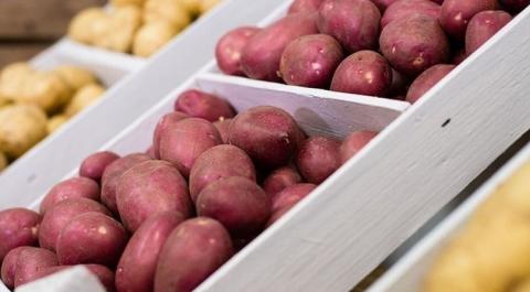 Агріко Україна посадить запланований до війни обсяг картоплі Рис.1