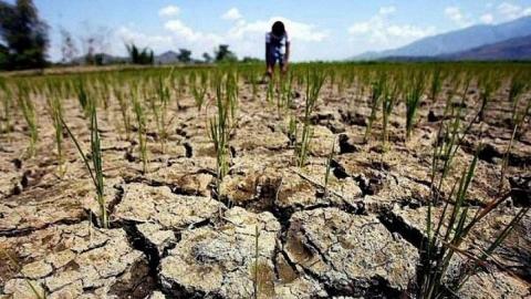 Дефіцит опадів в Бразилії та США може знизити врожай пшениці і кукурудзи Рис.1