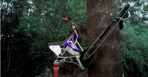 Компанія Ogilvy Perú створила вертикальний велосипед для збору фруктів Рис.1