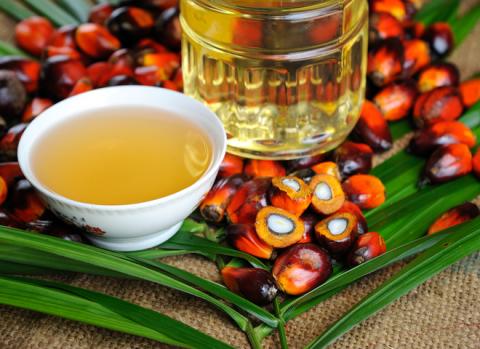 Найбільший у світі виробник пальмової олії заборонив експорт продукції Рис.1