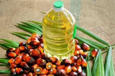 Пальмова олія продовжує дорожчати на тлі дефіциту поставок соняшникової олії Рис.1