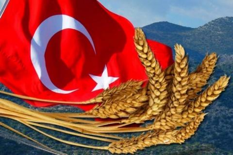 Туреччина нарощує імпорт пшениці, проте скорочує поставки з росії Рис.1