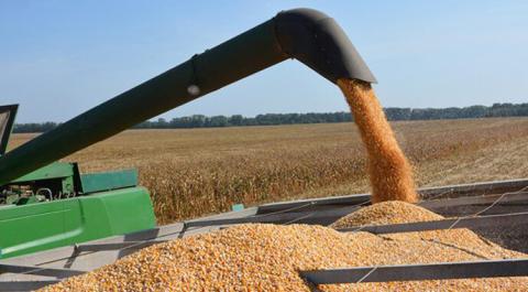 Україна цьогоріч намолотить 63 млн т зернових та олійних,- прогноз Рис.1