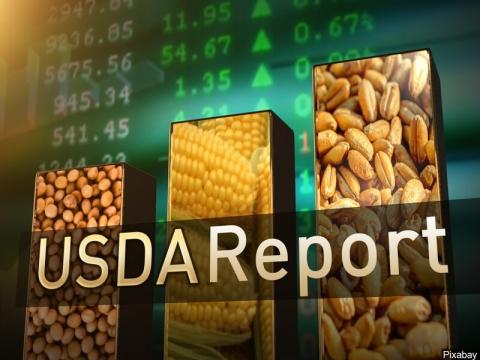 USDA знизив прогноз виробництва та переробки олійних, але підвищив оцінку запасів Рис.1