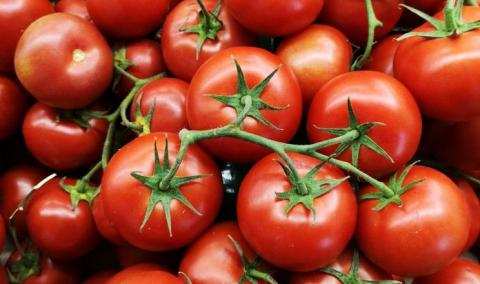 Біозбагачені томати можуть стати джерелом провітаміну D3 Рис.1