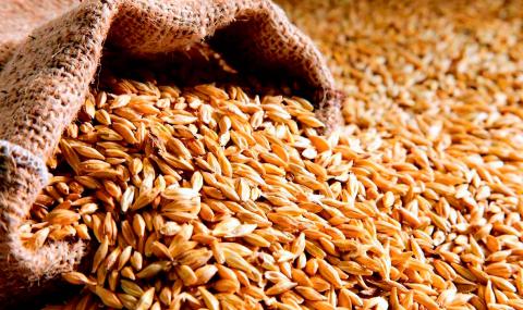 Україні експортувала у травні більше 1 млн тонн зерна Рис.1