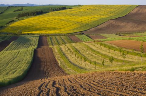 В Україні встановили спеціальні правила користування землею Рис.1