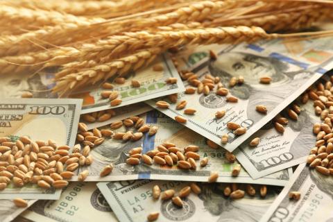 З початку травня Україна експортувала майже 300 тис. тонн зерна Рис.1