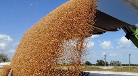 Експорт українського зерна сягне 30 млн т за певних умов Рис.1