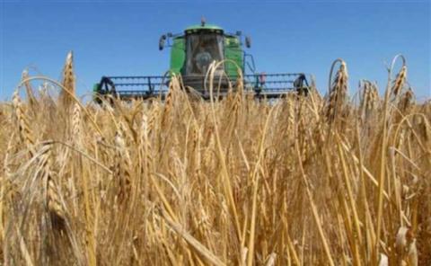 Франція розпочала збирання пшениці Рис.1