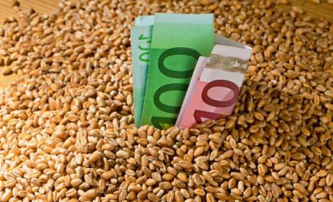Спека в Західній Європі та США може підтримати ціни на зерно Рис.1