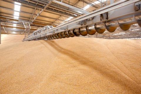 Туреччина купуватиме українське зерно зі знижкою 25% Рис.1
