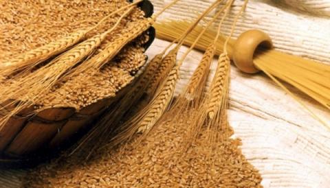 Україна експортує суходолом близько 1,5 мільйона тонн зерна на місяць Рис.1